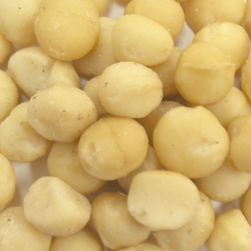 Picture of Macadamia Nuts Raw Style 4 (Large Pieces)