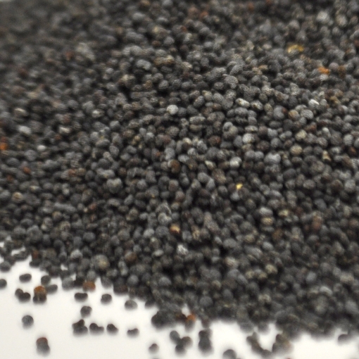 Picture of Poppy Seeds - Blue