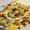 Picture of Lentils - Autumn Blend 25 Lb. (1 pcs Case) 