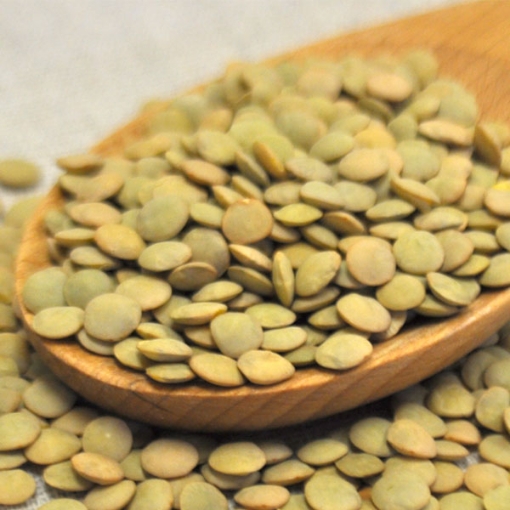 Picture of Lentils - Large Green 25 Lb. (1 pcs Case) 