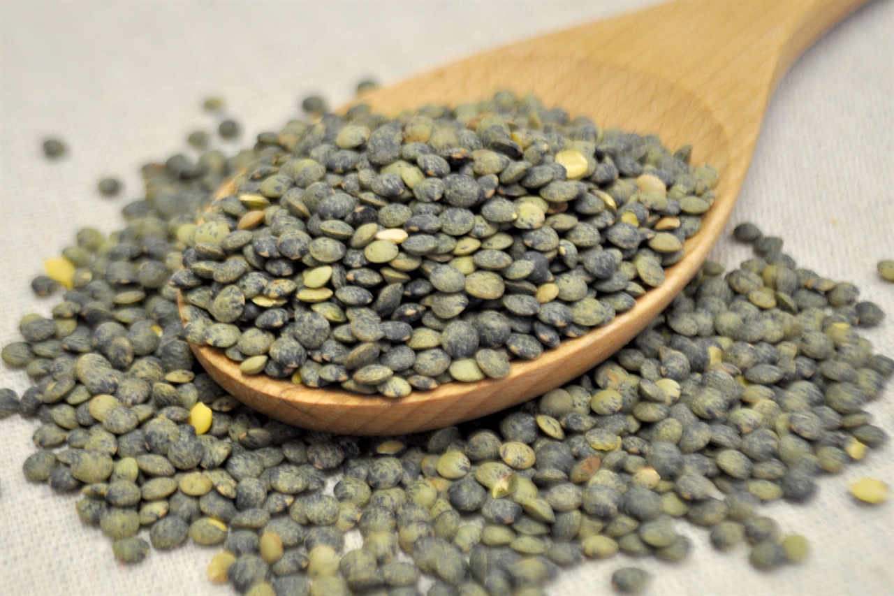 Wholesale French Green Lentils for soups and appetizers in bulk.