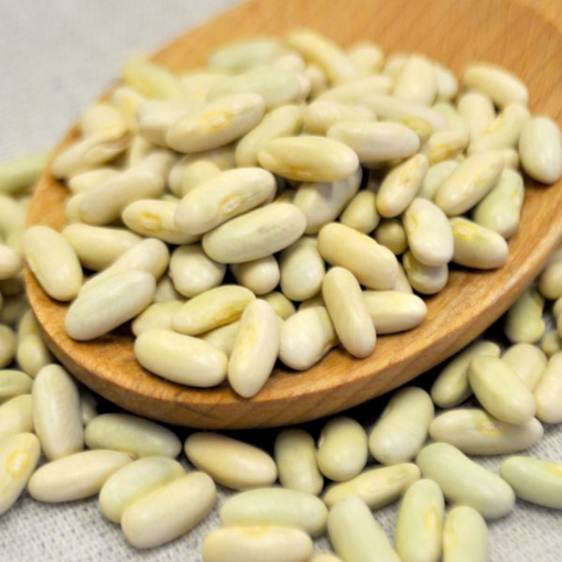Picture of Flageolet Beans 25 Lb. (1 pcs Case) 