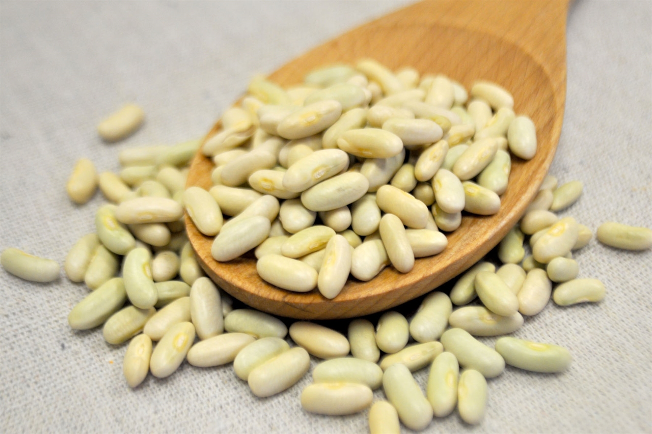 Bulk Flageolet Beans popular in French cooking.