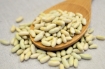 Picture of Flageolet Beans 25 Lb. (1 pcs Case) 