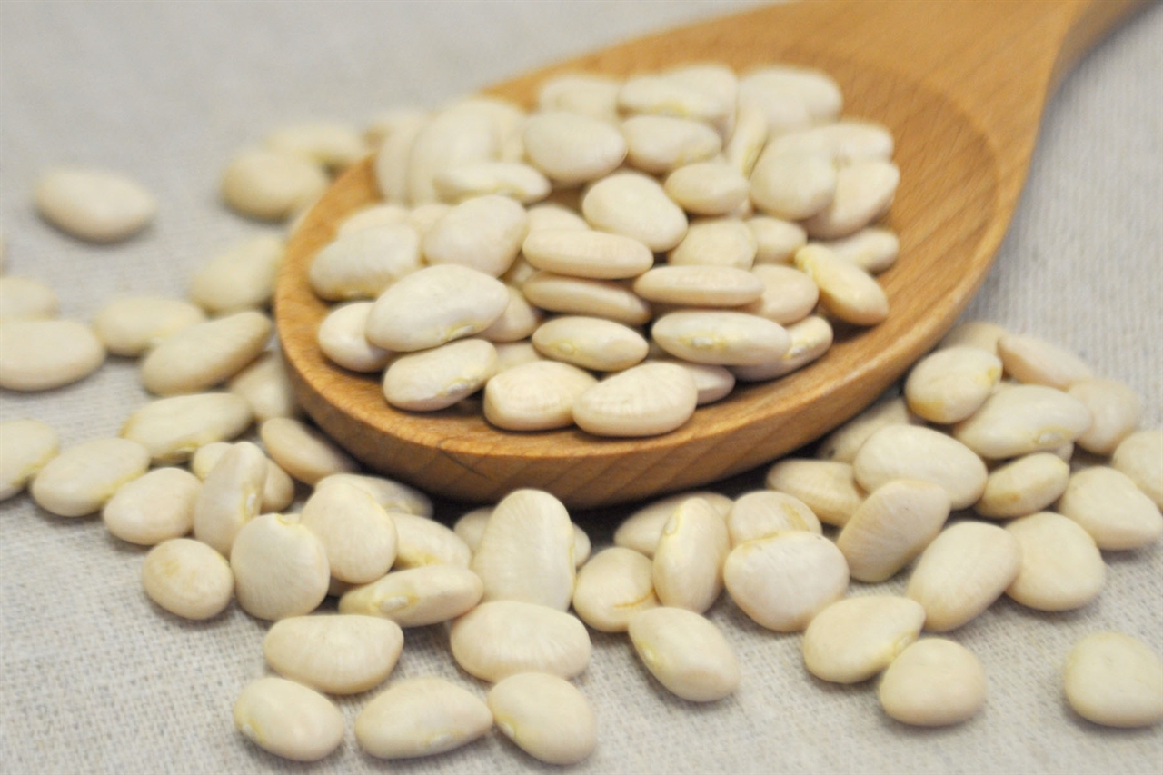 Wholesale Lima Beans also called Baby Butter Beans