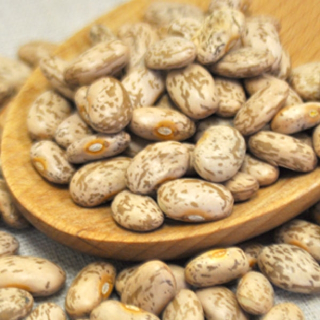 Picture of Pinto Beans 25 Lb. (1 pcs Case) 