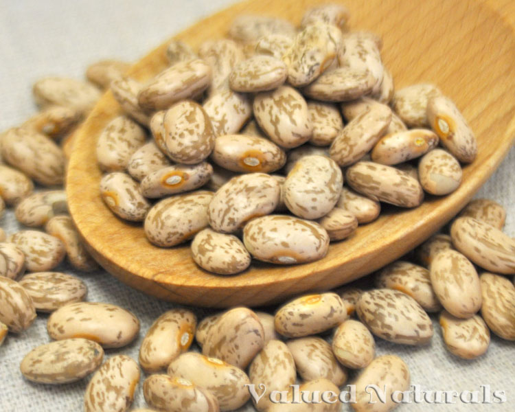 Wholesale Pinto Beans sold in 25 pound containers.