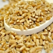 Picture of Wheat Berries (Hard Red) 25 Lb. (1 pcs Case) 