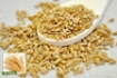 Picture of Wheat Berries (Hard Red) 25 Lb. (1 pcs Case) 