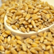 Picture of Spelt Berries (Farro)