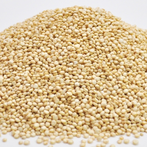 Picture of Quinoa - White 25 Lb. (1 pcs Case) 