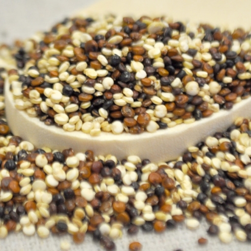 Picture of Quinoa - Tri-color 25 Lb. (1 pcs Case) 