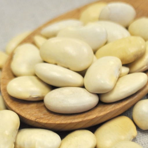 White Jumbo Runner Beans 10 Lb. (1 pcs Case)