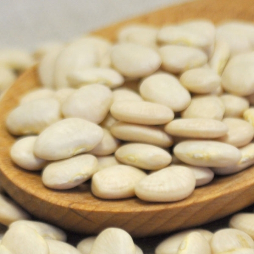 Picture of Lima Beans - Baby 10 Lb. (1 pcs Case) 