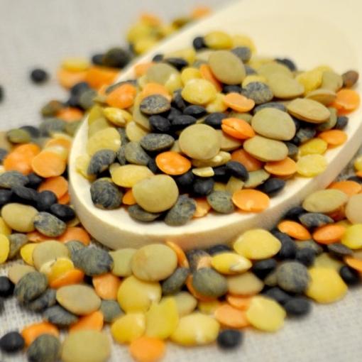 Picture of Lentils - Autumn Blend 10 Lb. (1 pcs Case) 