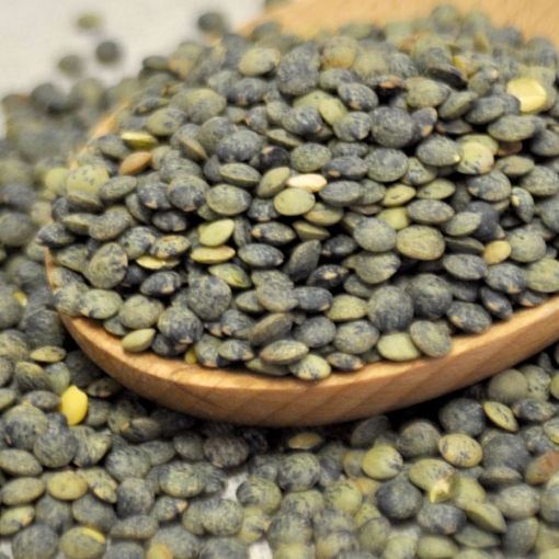 Picture of Lentils - French Green 10 Lb. (1 pcs Case) 