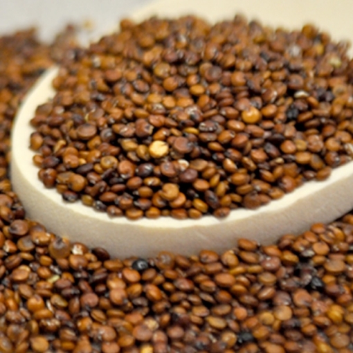 Picture of Quinoa - Red 25 Lb. (1 pcs Case) 